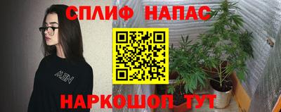 хмурый Будённовск