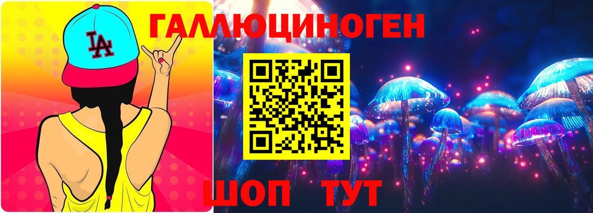 купить   Вход с VPN  Пугачёв  Псилоцибиновые грибы Psilocybine cubensis 